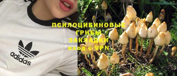 соль курить ск Аркадак