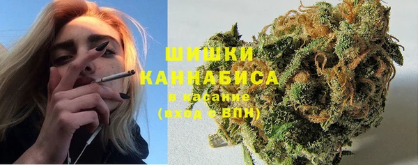 дмт Армянск