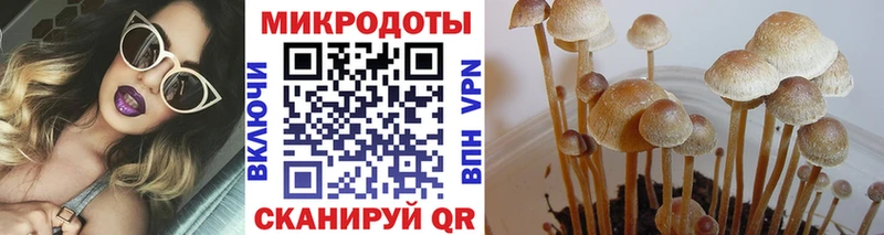 мега как войти Узловая Галлюциногенные грибы Magic Shrooms купить наркоту